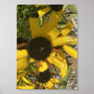 gråförendagen Gul Blommig Tryck