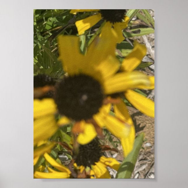 gråförendagen Gul Blommig Tryck (Framsidan)
