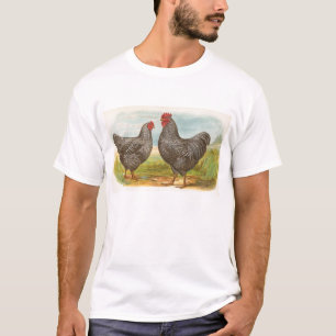 Graham - Barred Plymouth Sten Chickens Tee Shirt