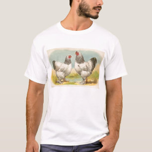 Graham - Light Brahma Chickens Tee Shirt