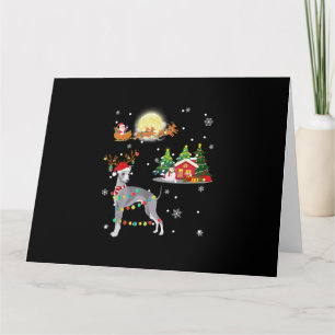 Gråhund Hund Ljus Jul Julgran Xmas G Kort