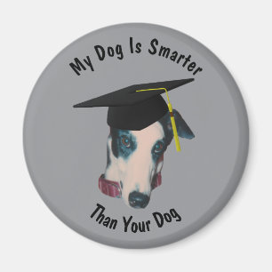 Gråhund Min hund är smartare än din roliga Magnet