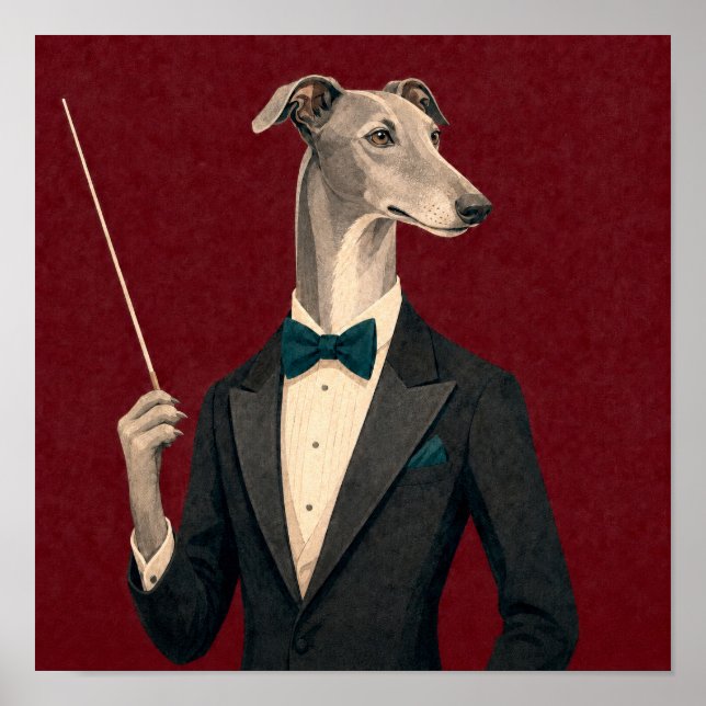 Gråhund Orkesterdirigent iförd Smoking B Poster (Framsidan)