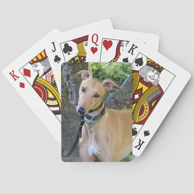 Gråhund spelkort (5) (Baksidan)
