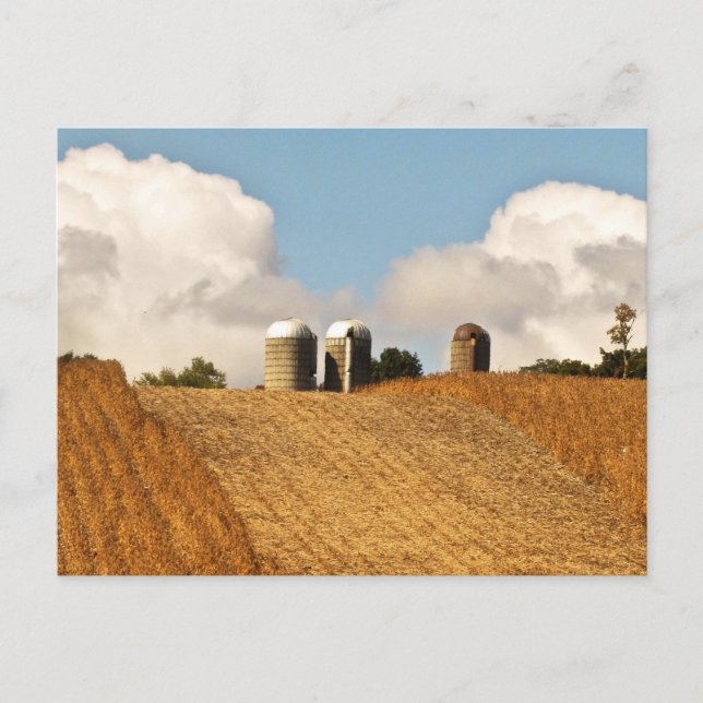 Grain Harvest Vykort (Framsida)