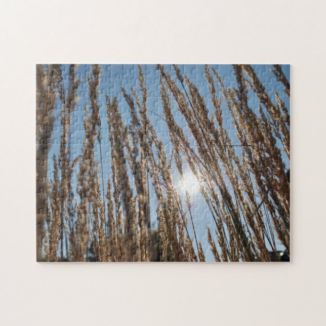 Grain Maj Fält Harvest Sol Beresh Farm Photo Pussel (Horisontell)