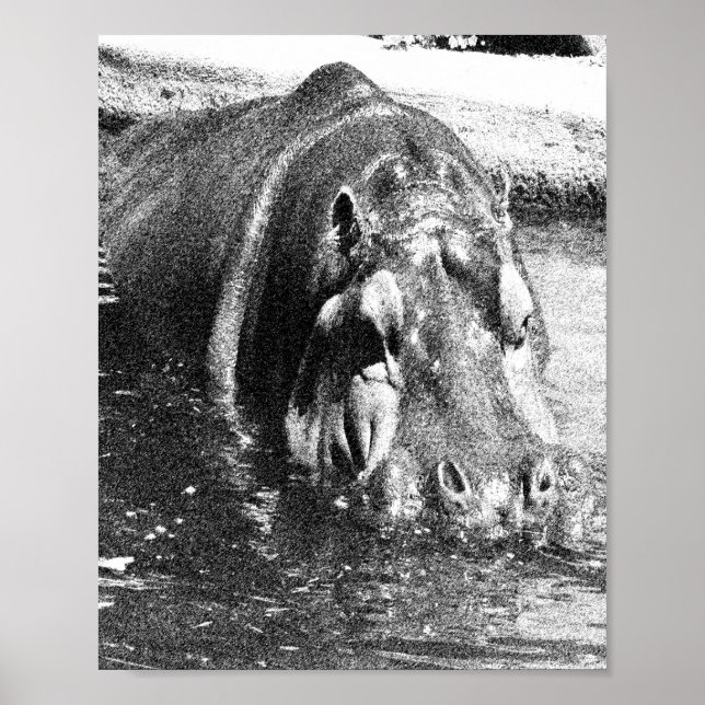 Grainy Black White Hippo Art, Poster (Framsidan)