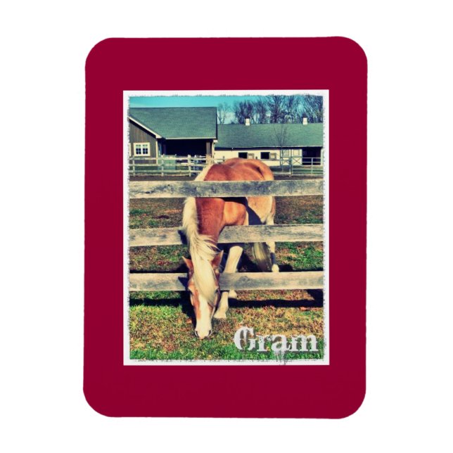 Gram Deluxe Edition Magnet (Vertikal)