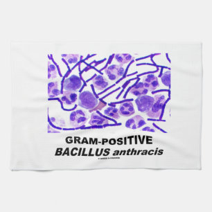 Gram - realitetBacillus anthracis (bakterier) Kökshandduk