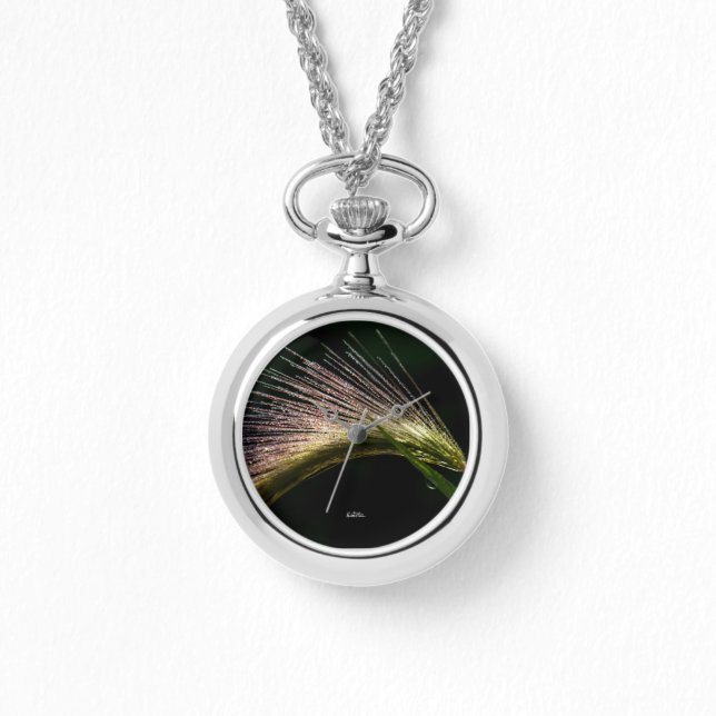 graminée avec la rosée armbandsur (Framsida)