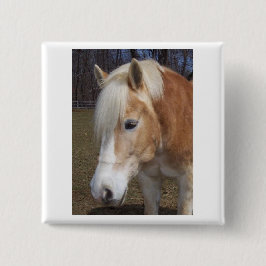 Grammet knäppas knapp