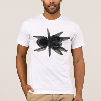 Grammostola pulchra (brasiliansvarten) tee