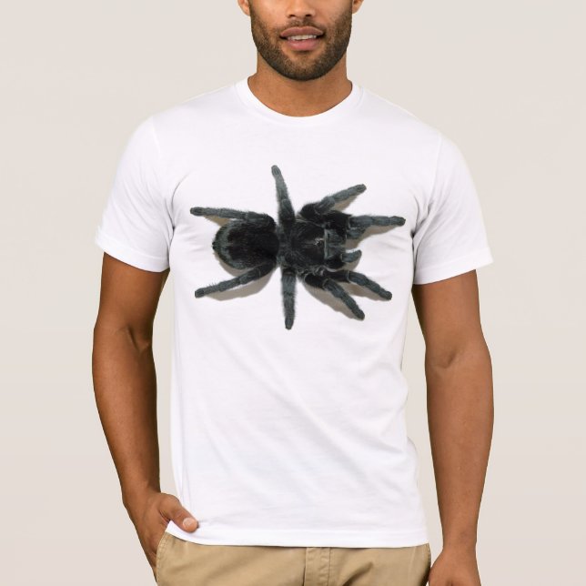 Grammostola pulchra (brasiliansvarten) tee (Framsida)