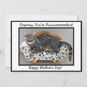 Grammy, du är pufft! Tiger Cat Mors dag Julkort