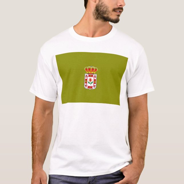 Granada (Spanien) provinsiell flagga T-shirt (Framsida)