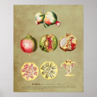 Granat 1 poster