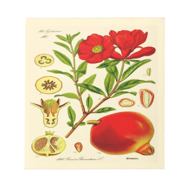 Granat Anteckningsblock (Framsida)