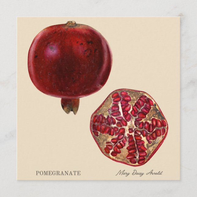 Granatäpple av Mary Daisy Arnold (Framsida)