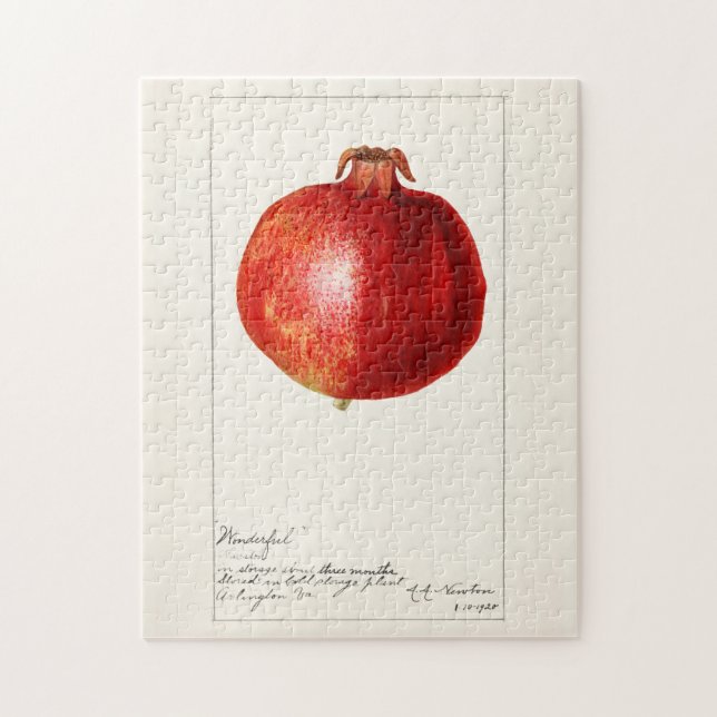 Granatäpplen (Punica Granatum) Pussel (Vertikal)