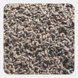 Granbarkborre Fyrkantigt Klistermärke