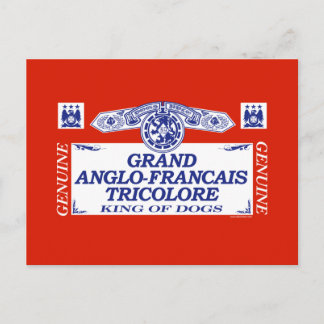 Grand Anglo-Francais Tricolore Vykort