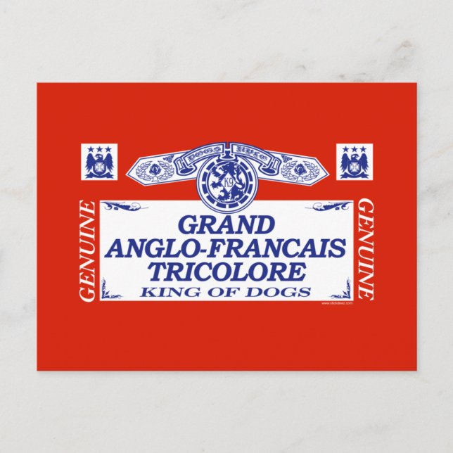 Grand Anglo-Francais Tricolore Vykort (Framsida)