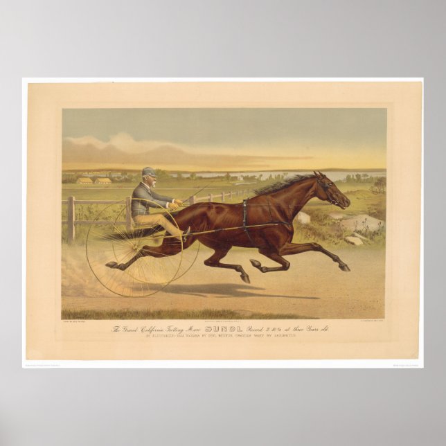 Grand California Trotting Mare Sunol (0652A) Poster (Framsidan)