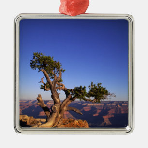 Grand Canyon, Arizona, USA Julgransprydnad Metall