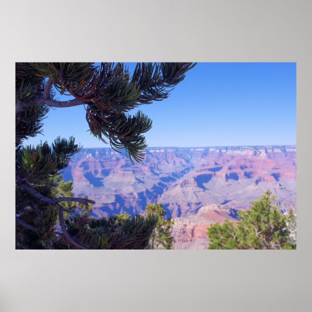 Grand Canyon - Arizona - USA Poster (Framsidan)