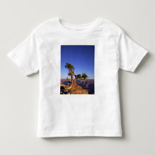 Grand Canyon, Arizona, USA T-shirt
