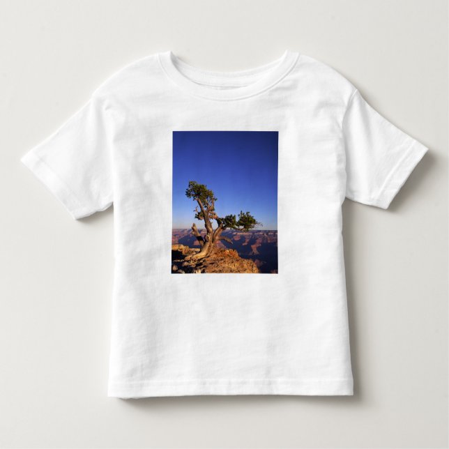 Grand Canyon, Arizona, USA T-shirt (Framsida)