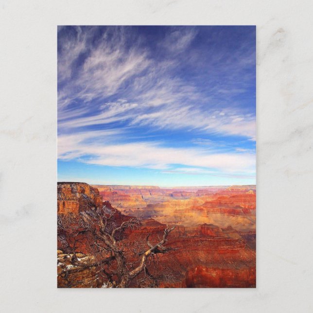 Grand Canyon, Arizona Vykort (Framsida)