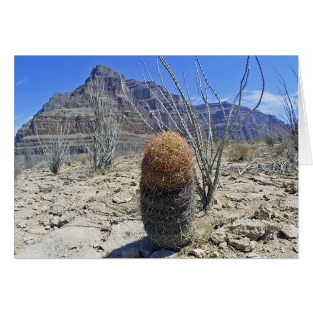Grand Canyon-blomman Hälsningskort (Framsidan Horizontal)
