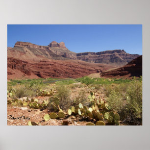 Grand Canyon Coloradofloden Fotografiet Poster