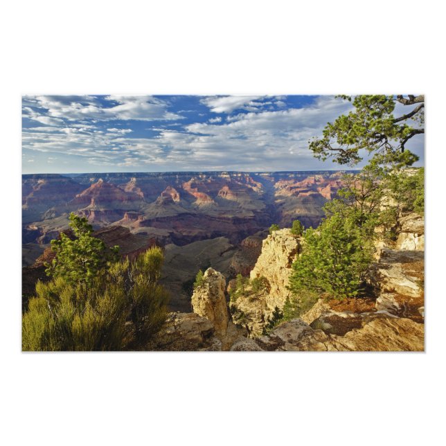 Grand Canyon från den södra kanten vid solnedgång, Fototryck (Framsidan)