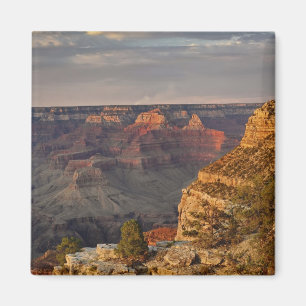 Grand Canyon från den södra kanten vid solnedgång, Magnet