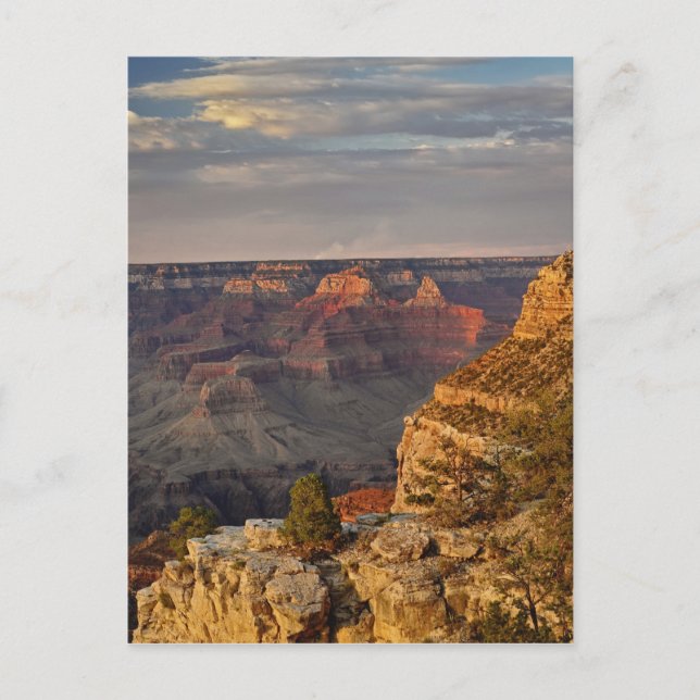 Grand Canyon från södra fälgen vid sunset, 2 Vykort (Framsida)