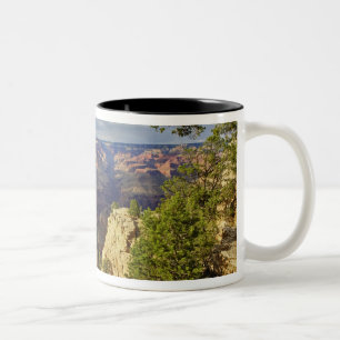 Grand Canyon från södra kanten vid solnedgång, 6 Två-Tonad Mugg