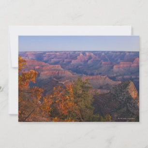 Grand Canyon i Sunrise