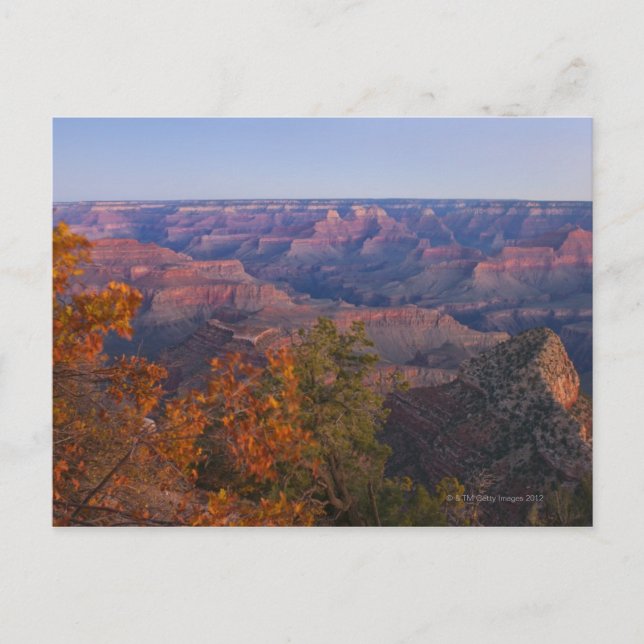Grand Canyon i Sunrise Vykort (Framsida)