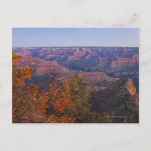 Grand Canyon i Sunrise Vykort