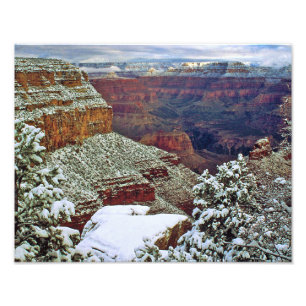 Grand Canyon i vinter Fototryck