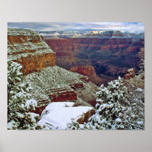 Grand Canyon i vinter Poster
