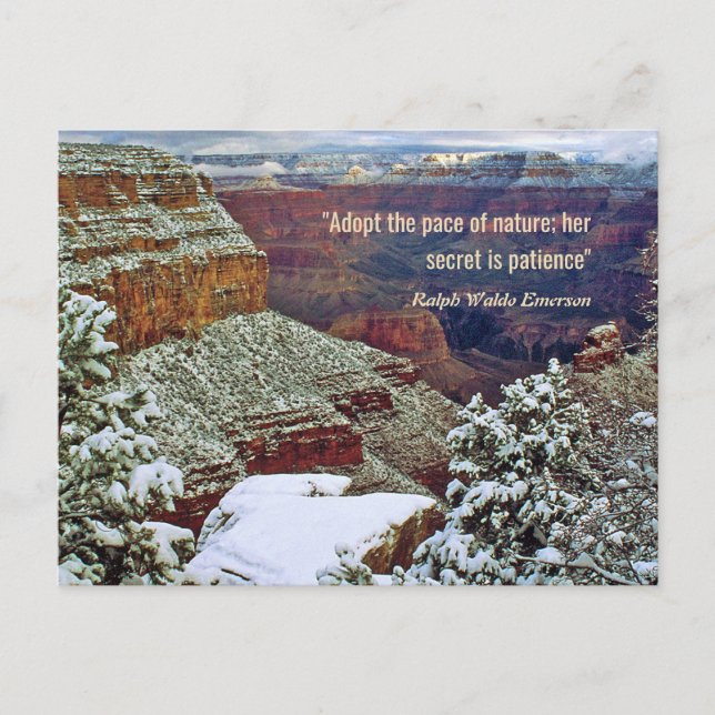 Grand Canyon in Winter with Emerson Quote Vykort (Framsida)