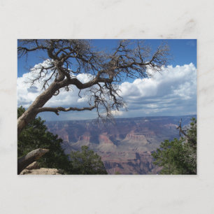 Grand Canyon, målad Desert Arizona PostCard Vykort