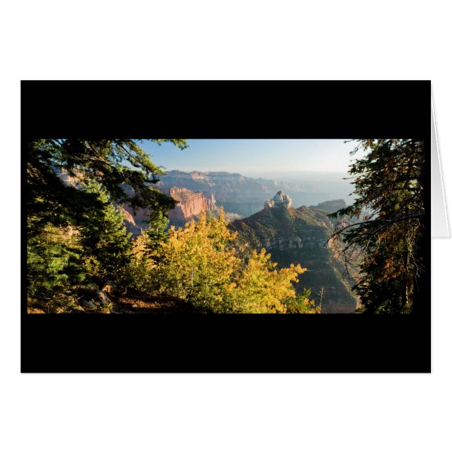 Grand Canyon med guldbjörn Hälsningskort (Framsidan Horizontal)