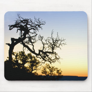 Grand Canyon Musmatta