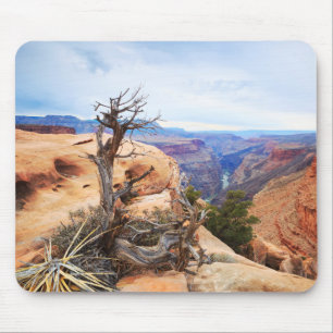 Grand Canyon Musmatta