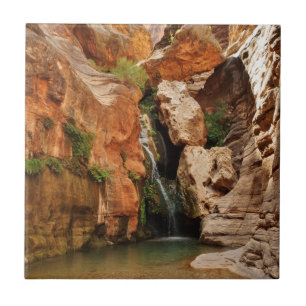 Grand Canyon National Park, Arizona Kakelplatta