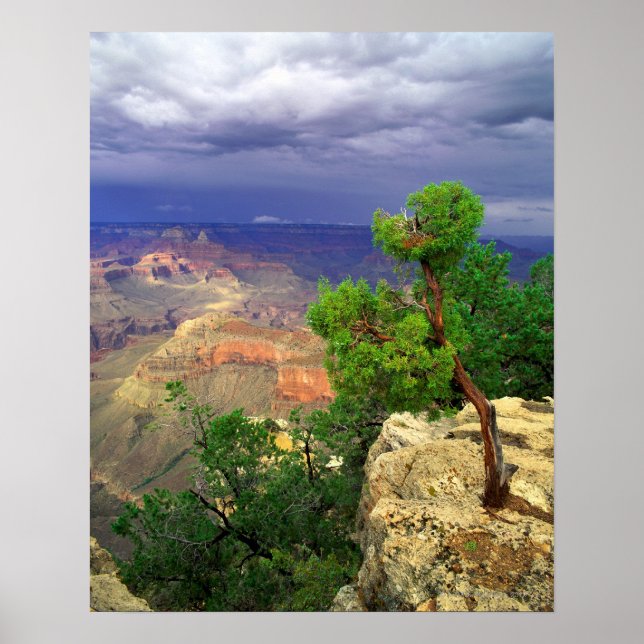 Grand Canyon National Park, Arizona, United 3 Poster (Framsidan)